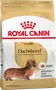 Foto de Royal Canin Dachshund (Salchicha) Adulto