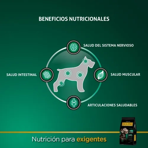 Foto de Dogpro Senior