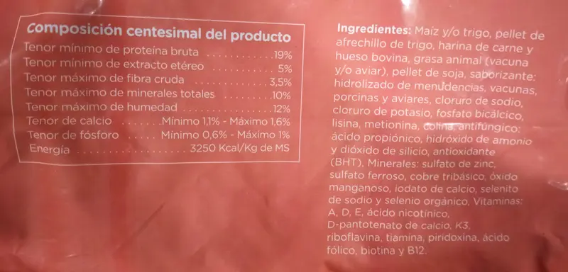 Foto de Gaucho Perro Adulto