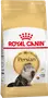 Foto de Royal Canin Persian Adulto