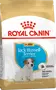 Foto de Royal Canin Jack Russell Terrier Puppy