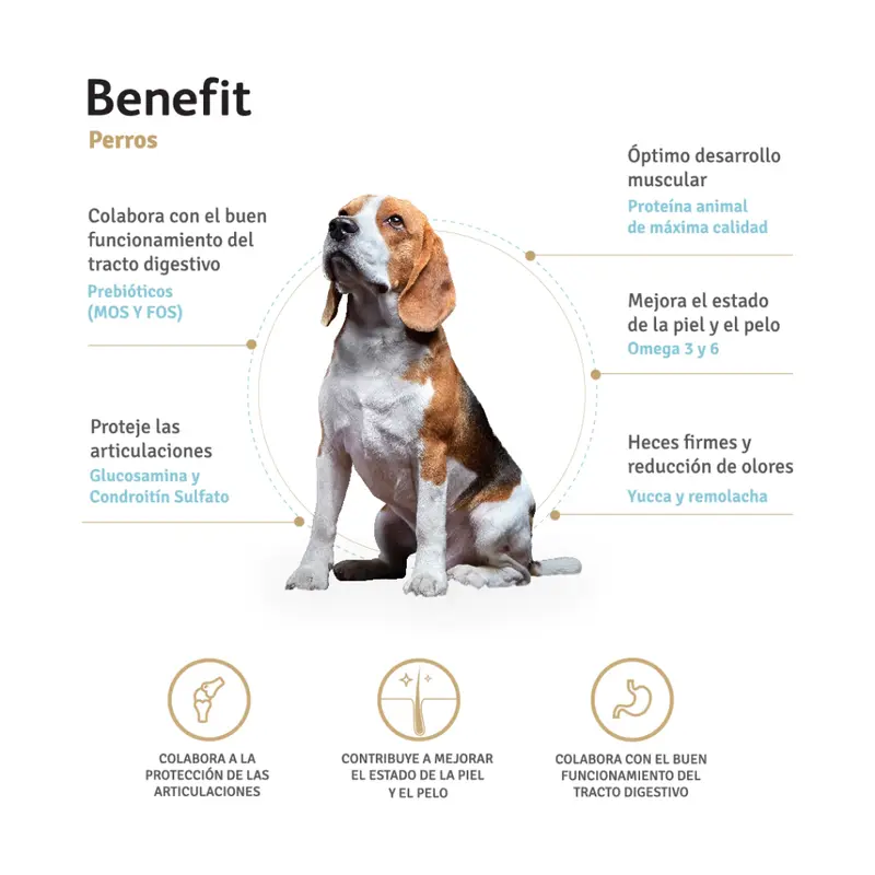 Foto de Benefit Perro Adulto Mordida Pequeña