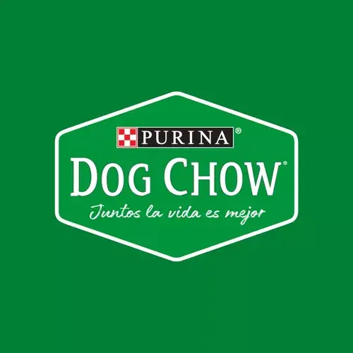 Foto de Dog Chow Perro Adulto Mini
