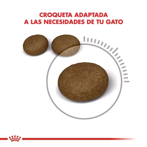 Foto de Royal Canin Hair & Skin Care