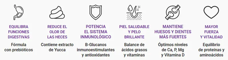 Foto de MisterPet Perro Adulto Mordida Pequeña