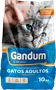 Foto de Gandum Gato Adulto