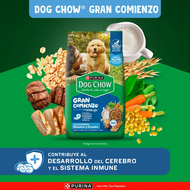 Foto de Dog Chow Perro Cachorro