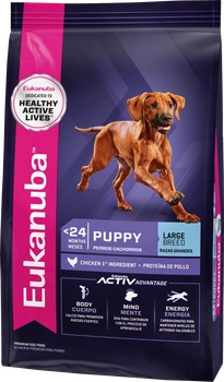 Image of Eukanuba Puppy Large Breed