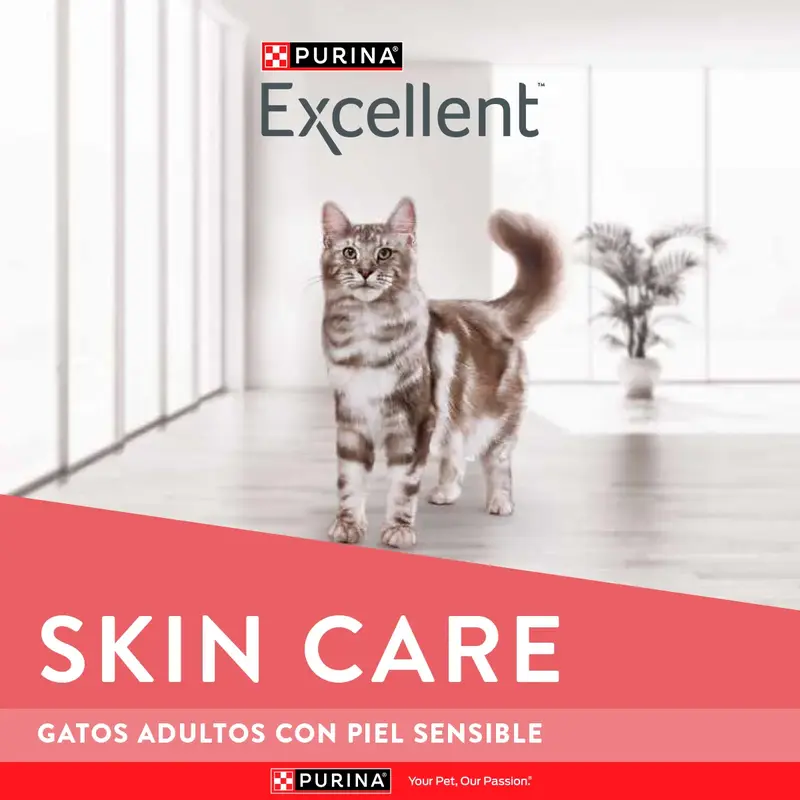 Foto de Excellent Gatos Adultos con Piel Sensible